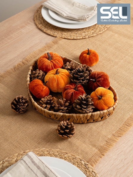 Scottish Everlastings Ltd Decorative Velvet Pumpkins & Pinecones With Tray