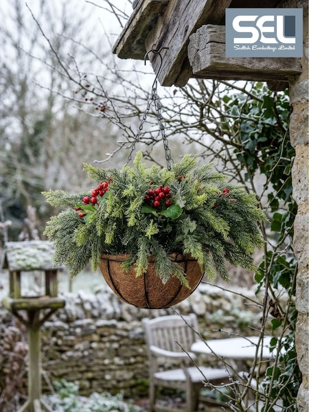 Scottish Everlastings Ltd Christmas Foliage Hanging Basket