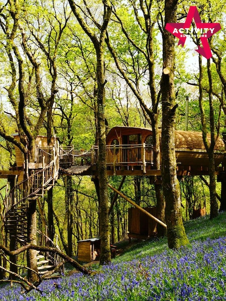 AS Two Night Tree House Escape for Two Gift Experience (696137) | £429