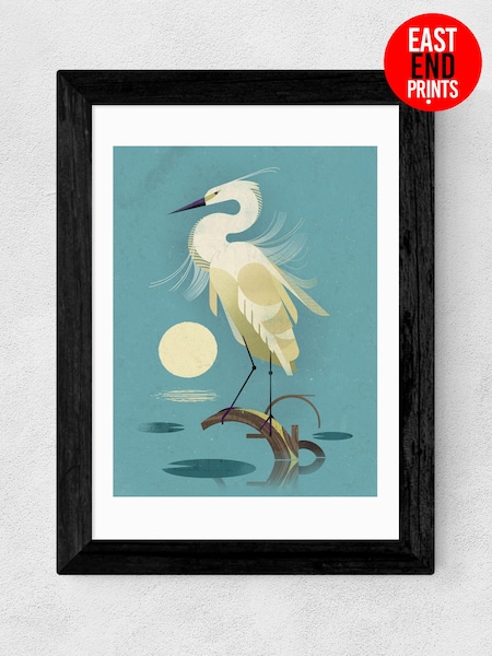 East End Prints Black Little Egret Print by Dieter Braun (713950) | £50 - £130
