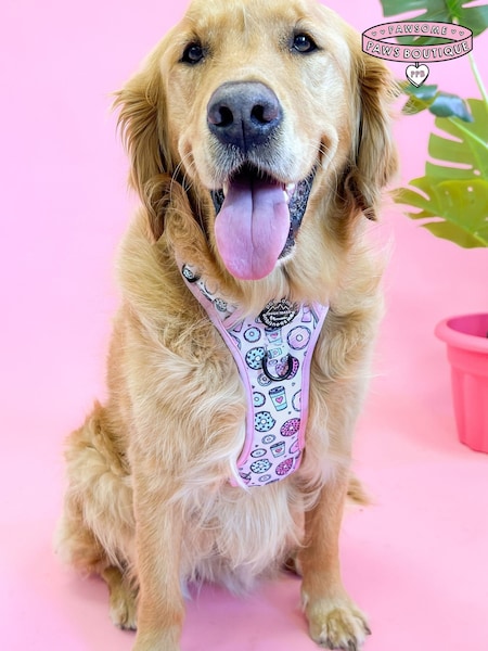 Pawsome Paws Boutique Pink blue Tough Trails Dog Harness (817900) | £34