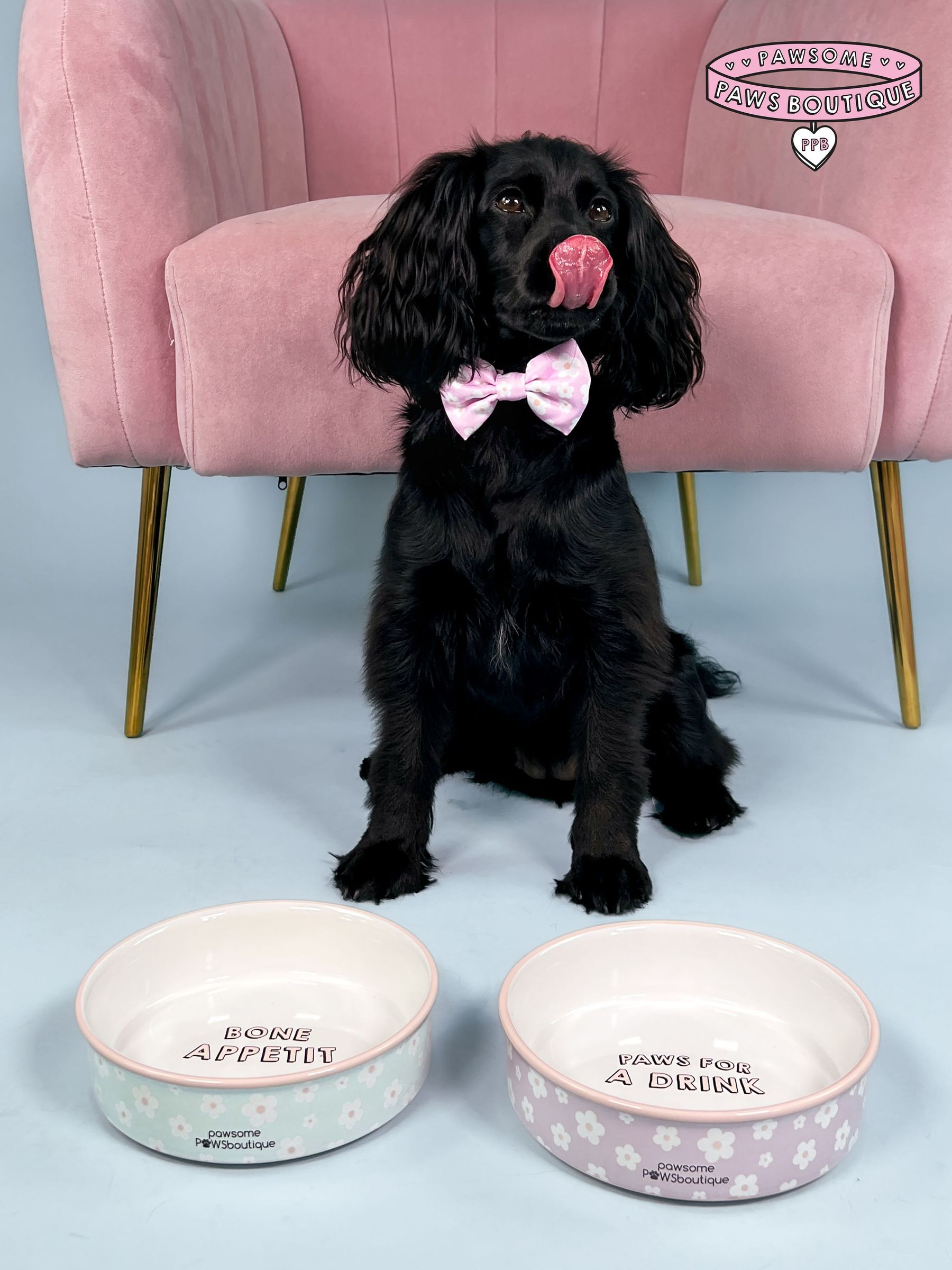 Buy Pawsomepawsboutique Online Next UK