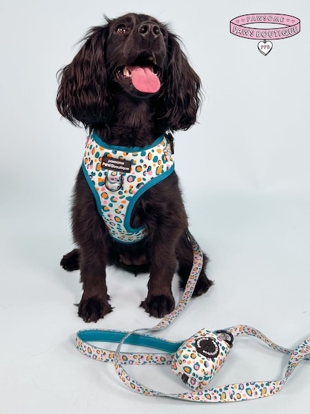 Pawsome Paws Boutique Blue Dog Lead (823663) | £15