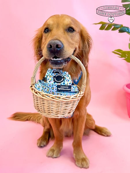 Pawsome Paws Boutique Blue Dog Poo Bag Holder And Bow Tie Set (823677) | £16