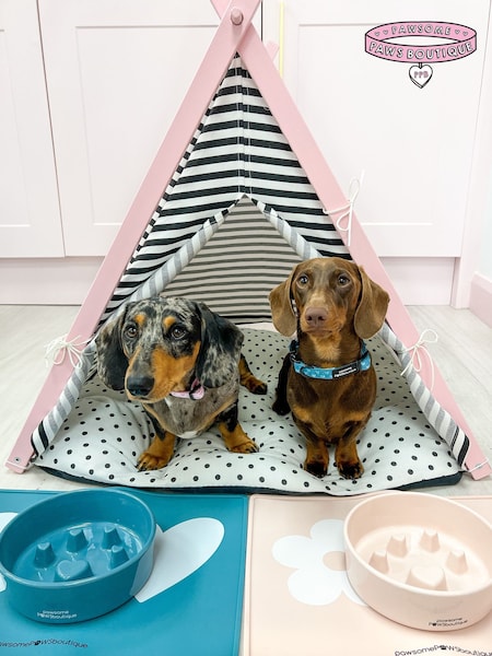 Pawsome Paws Boutique Teal Ceramic Slow Dog Feeder Bowl (823686) | £17