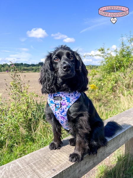 Pawsome Paws Boutique Purple Adjustable Dog Harness (823737) | £26