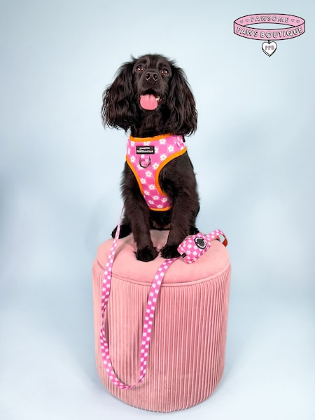 Pawsome Paws Boutique Purple Dog Collar And Lead Set (823744) | £27