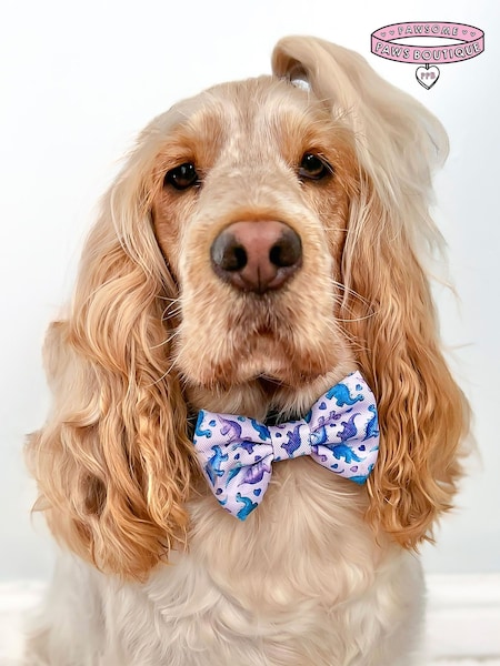 Pawsome Paws Boutique Purple Dog Poo Bag Holder And Bow Tie Set (823758) | £16