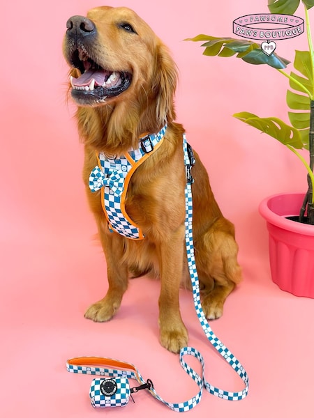 Pawsome Paws Boutique Teal Blue Dog Lead (823833) | £15