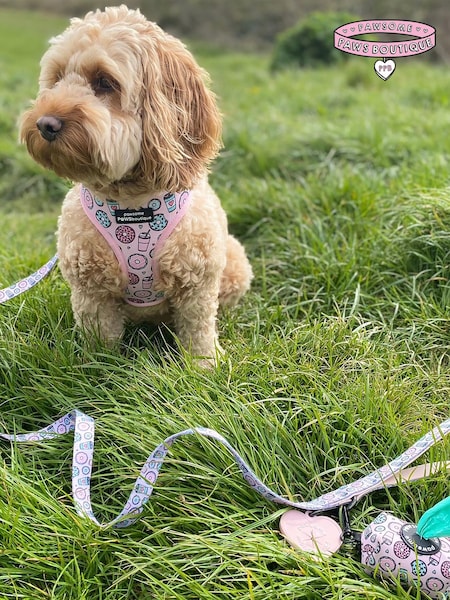 Pawsome Paws Boutique Pink Blue Dog Lead (823863) | £15