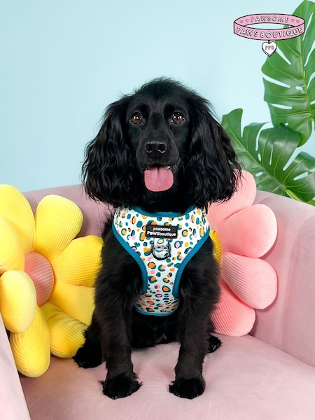 Pawsome Paws Boutique Blue Adjustable Dog Harness (824117) | £26