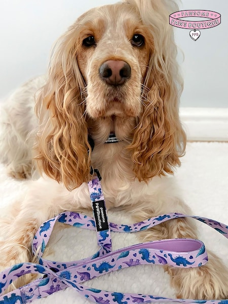 Pawsome Paws Boutique Purple Dog Collar And Lead Set (826357) | £27