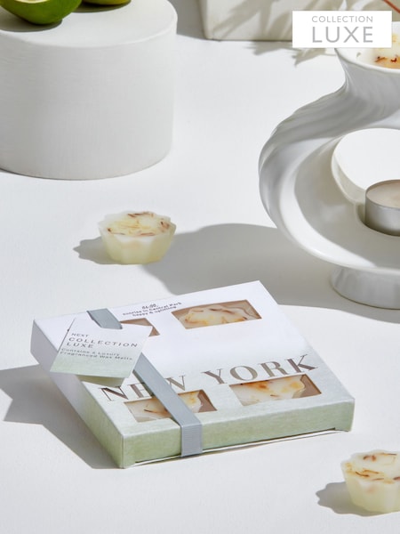 Jasmine & Orange Blossom Collection Luxe New York Wax Burner (828619) | £7