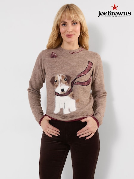 Brown - Joe Browns Cooper Embroidered Fluffy Dog Jumper