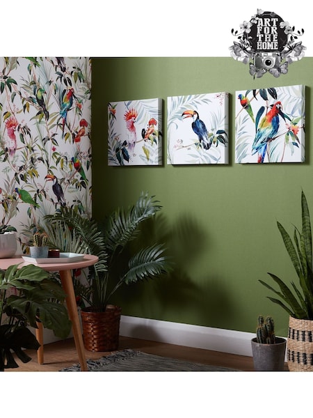 Art For The Home Set of 3 White Tropical Amazon Birds Canvases (938127) | £32
