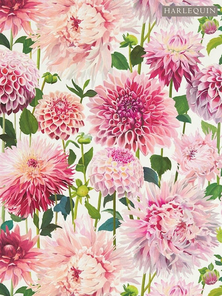 Harlequin Pink Dahlia 10.05M Wallpaper (950047) | £128