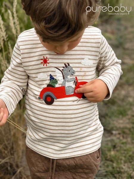Brown - Purebaby Flying Car Striped Longsleeve Thick T-shirt