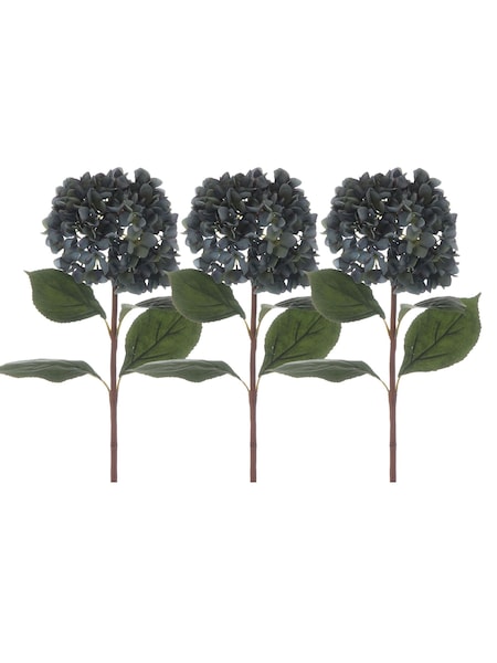 Otters Brook Set Of Hydrangea Stem