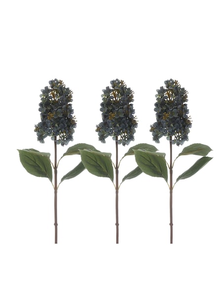 Otters Brook Set Of Hydrangea Stem