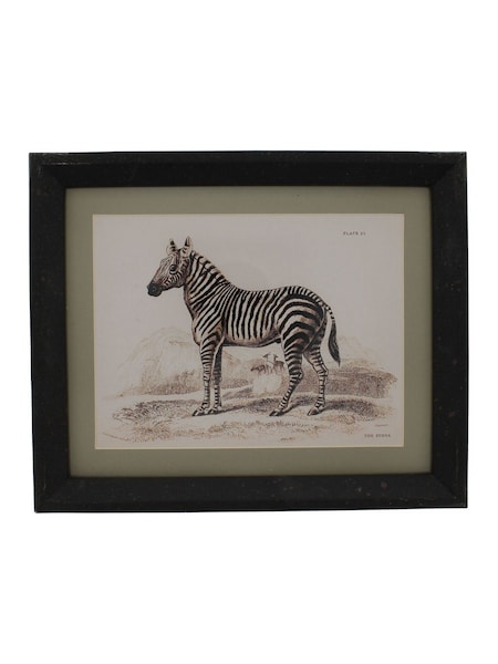 Otters Brook Polyresin Zebra Print
