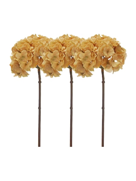 Otters Brook Set Of Hydrangea Stem