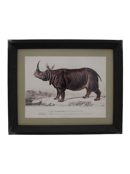Otters Brook Polyresin Rhinoceros Print