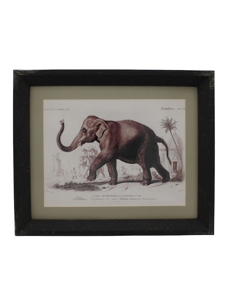 Otters Brook Polyresin Elephant Print
