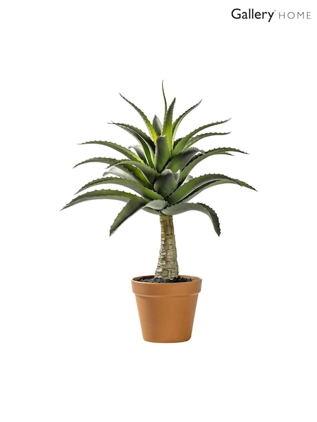 Gallery Home Green Artificial Agave Plant In Pot (A06825) | £68
