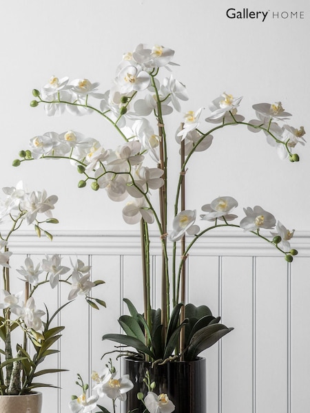 Gallery Home White Artificial Orchid In Pot (A06830) | £126