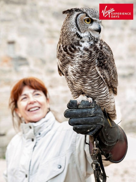 Virgin Experience Days Falconry For Two (A44510) | £46