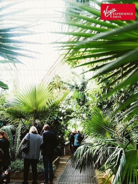 Virgin Experience Days Kew Garden Afternoon Tea for Two (A44545) | £52