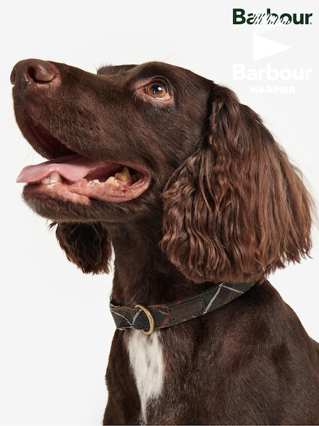 Barbour® Multi Classic Tartan Webbing Dog Collar (A47511) | £25