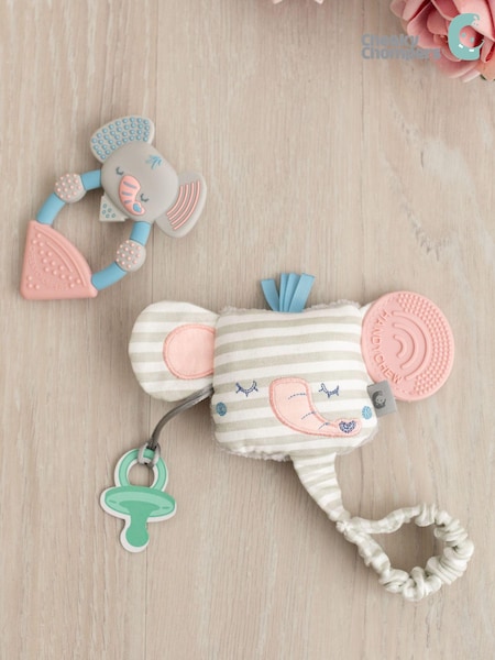 Cheeky Chompers Teething Baby Toys (A83142) | £20