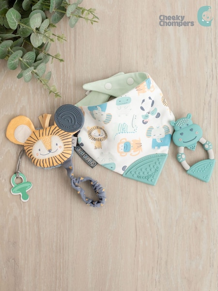Cheeky Chompers Teething Baby 100% Cotton Gift Bundle (A83151) | £34