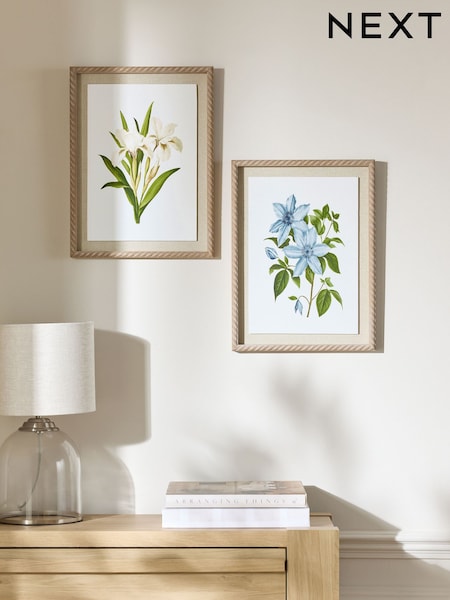 Set of 2 White Floral Archive Framed Wall Arts (AA6408) | £40