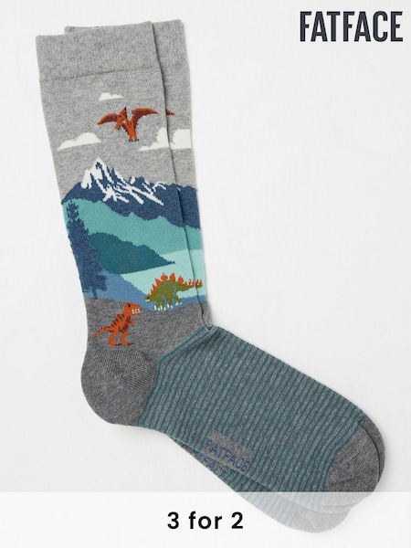 FatFace Grey Dinosaur Men's Socks (AC3166) | £7.50