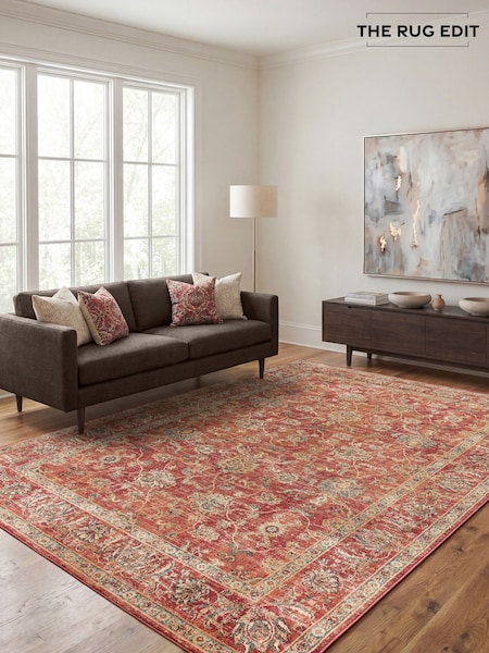The Rug Edit Raja Border Rug