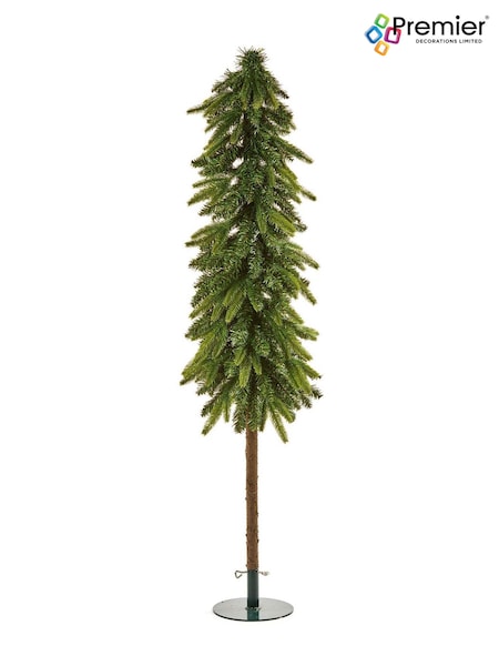 Premier Decorations Ltd Green 5ft Cyprus Tree (AE5642) | £80