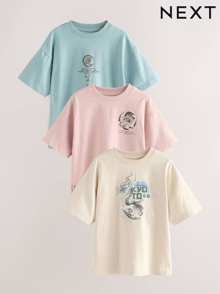 Grey/ Blue Japanese Relaxed Fit Graphic Print Short Sleeve 100% Cotton T-Shirts 3 Pack (3-16yrs) (AG3069) | £19 - £25