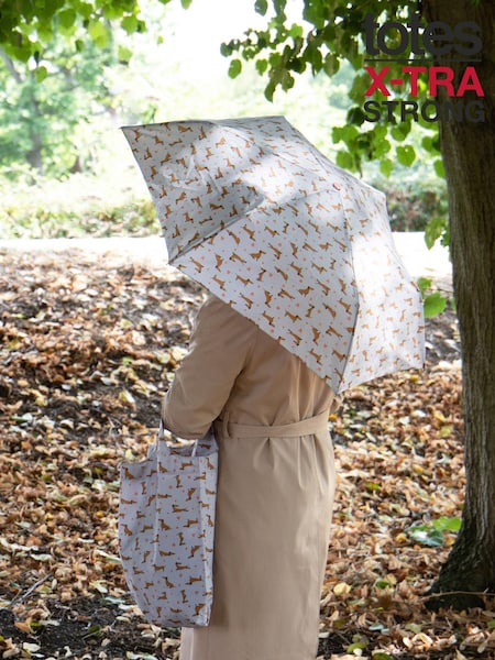 Totes Grey Eco-Brella & Matching Bag in Bag Shopper Set (AG5051) | £20