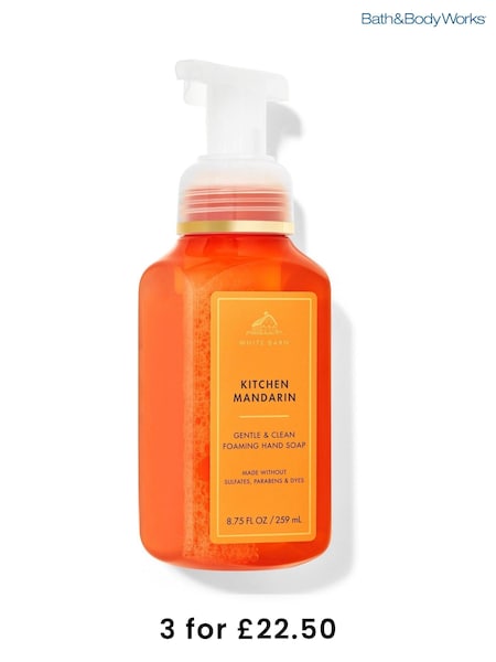 Bath & Body Works Gentle and Clean Foaming Hand Soap (AH7457) | £12