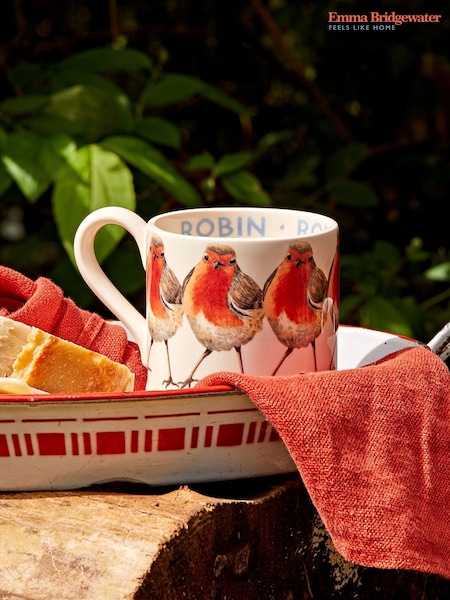 Emma Bridgewater Cream Robin 1/2 Pint Mug (AJ5281) | £25