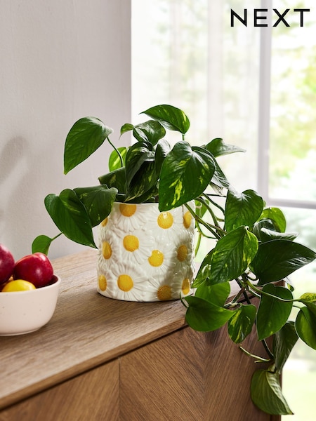Yellow/White Ceramic Daisy Planter (AJ6641) | £15