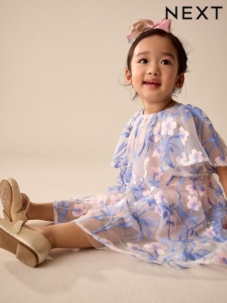 Pink/Blue Embroidered Mesh Dress (3mths-8yrs) (AK0003) | £29 - £35