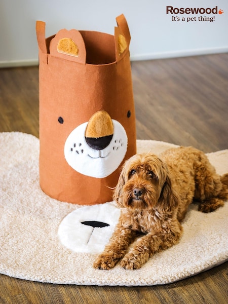 Rosewood Brown Lion Dog Toy Basket (AL4278) | £16