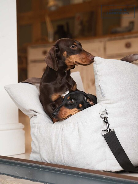 Lords and Labradors Slate Easy Traveller Dog Car Seat (AL8470) | £50