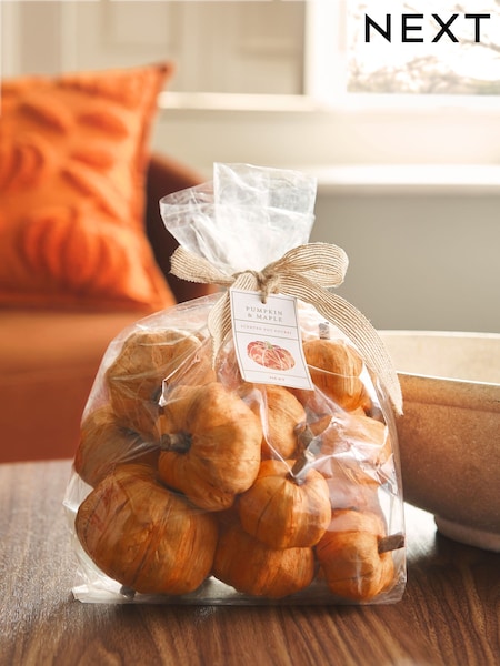 Autumnal Pumpkin Ginger Chai Pot Pourri (AM2872) | £12