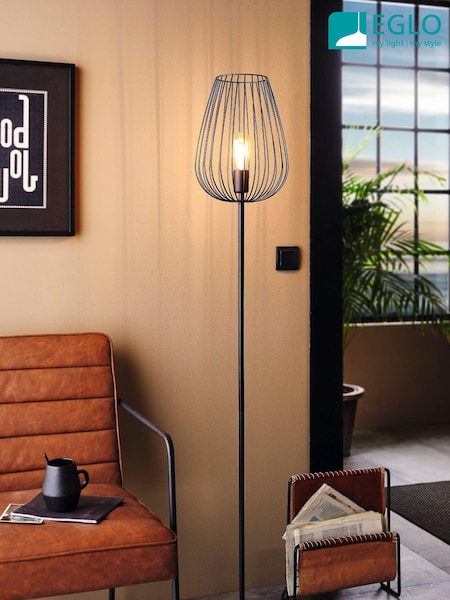 Eglo Black Newtown Caged Floor Lamp (AM9948) | £90