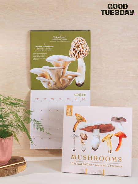 Good Tuesday Mushroom 2025 Calendar (AN6916) | £19