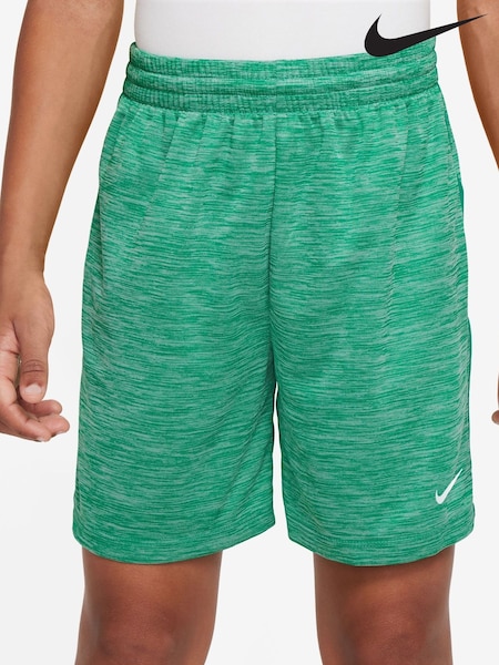 Nike Stadium Green Dri-FIT Multi Shorts (AP3485) | £20